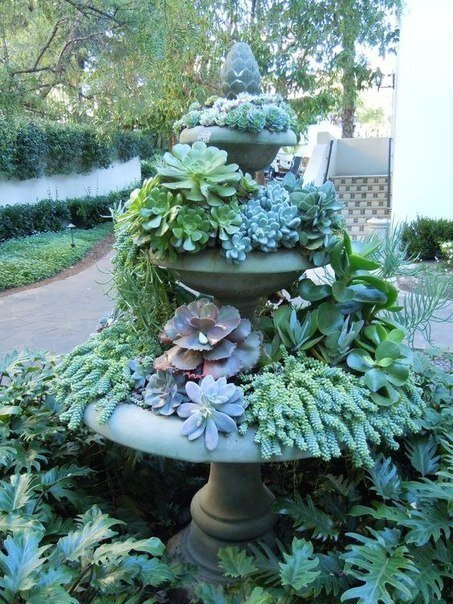 Садовые скульптуры из растений