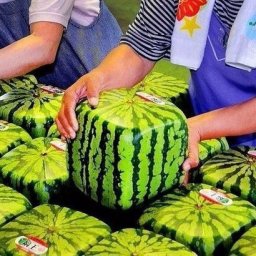 ​Фигурные овощи и фрукты