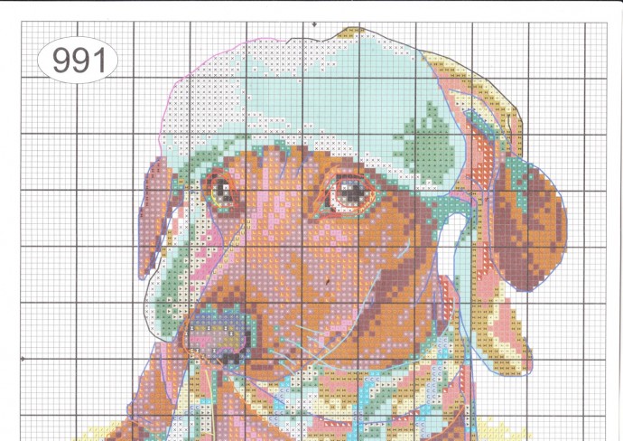 ​Очаровательная собачка