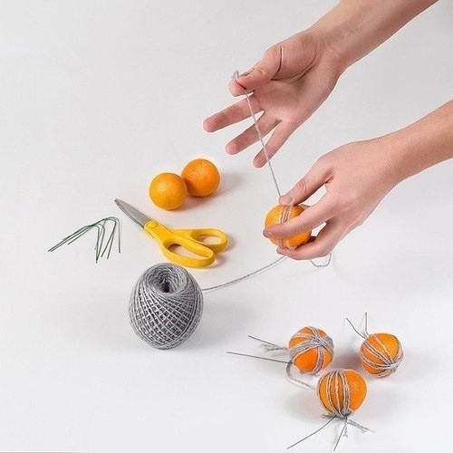 Мандариновое дерево Мандариновое дерево