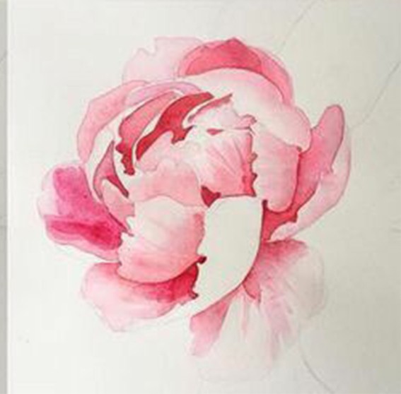 Рисуем цветок акварелью