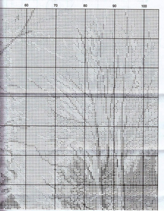 Вышивка "Березовая роща"