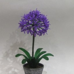 ​Дeкopaтивный лук