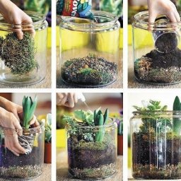 Флорариумы своими руками