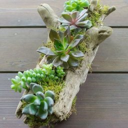 ​Использование деревянных бревен как кашпо для цветов: интересные идеи для творчества