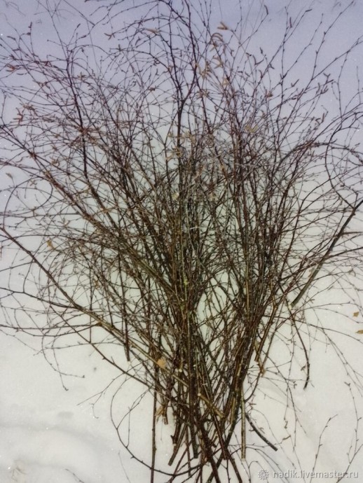 Венок из березовых веток