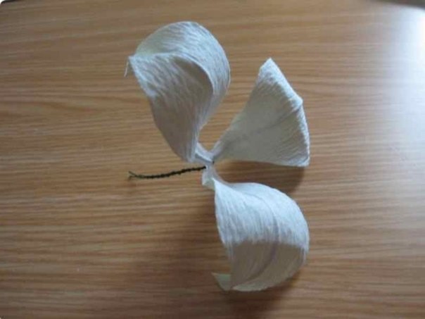 ​Роскошные цветы