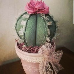 ​Тканевые кактусы