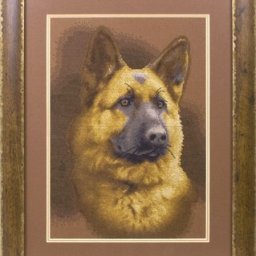 ​Вышиваем овчарку