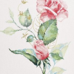 Для жизни в розовом цвете