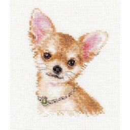 ​Маленькая собачка