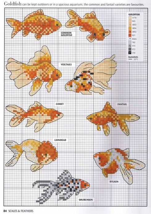 ​Вышиваем рыбок