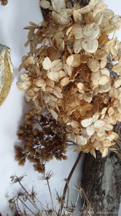 Панно с сухоцветами