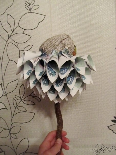 Денежное дерево