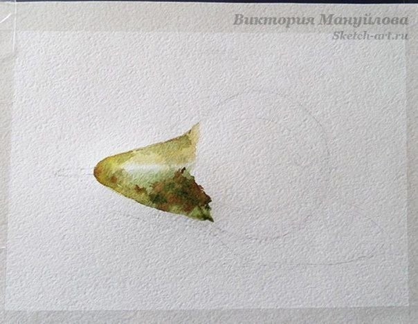 Рисуем зеленую грушу