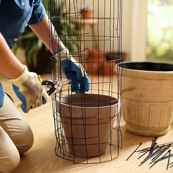 Цветущая клумба в горшке на даче