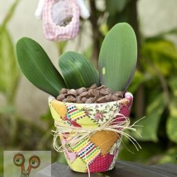 Креативный горшочек