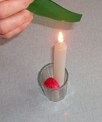 Цветы из пластиковых бутылок