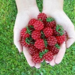 ​Малина из бисера