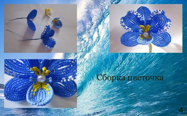 Орхидеи в синем цвете