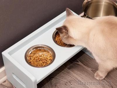 Кормушка для кота или небольшой собаки