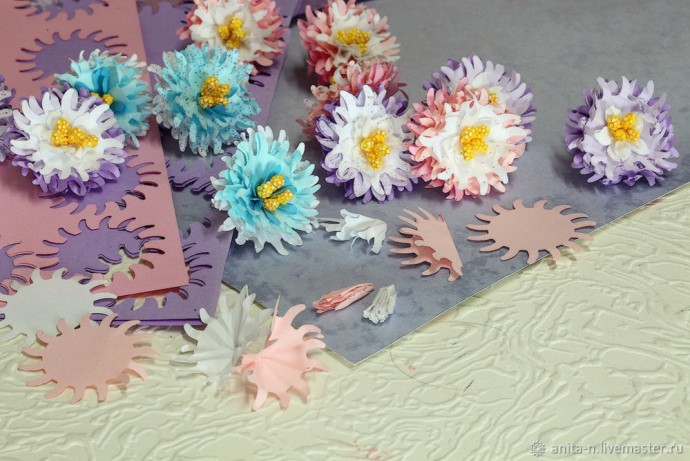 Декоративные астры