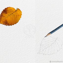 ​Урок рисования акварелью: осенний лист