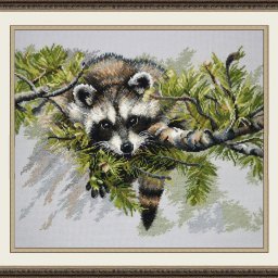 ​Вышиваем енота