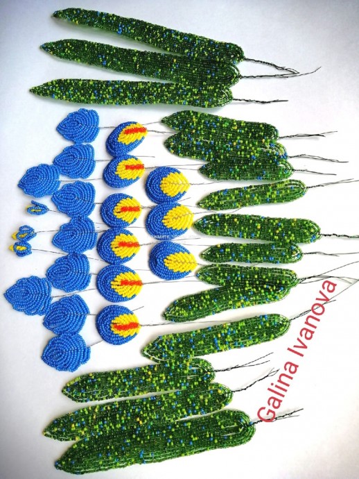 Желто-синие ирисы