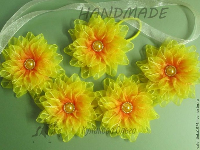 Невероятно красивые хризантемки