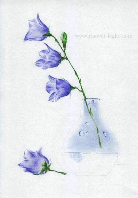 Очень нежный натюрморт цветными карандашами