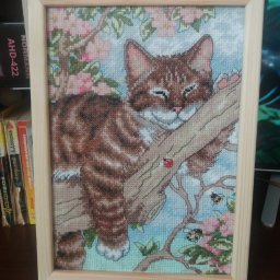 Спящий на ветке кот