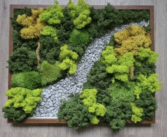 Лесные пейзажи с камнями в рамке Лесные пейзажи с камнями в рамке