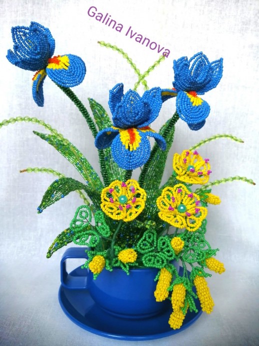 Желто-синие ирисы