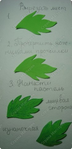 Прекрасная картина с астрами