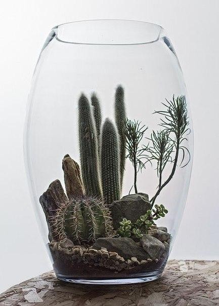 Идеи композиций в прозрачных вазах