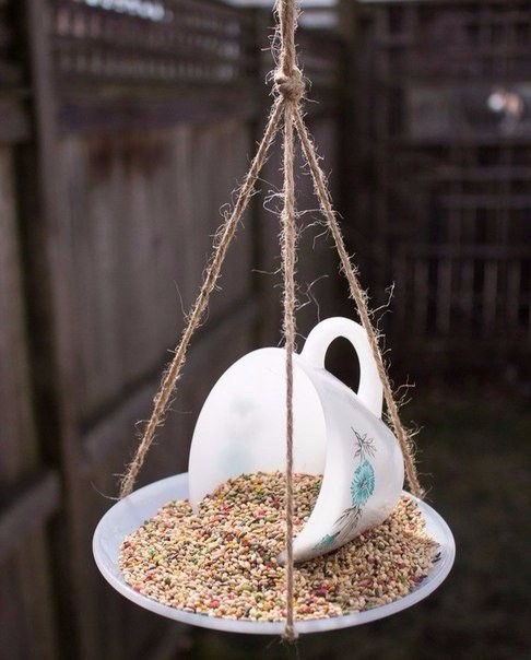​Идеи создания кормушек для птиц