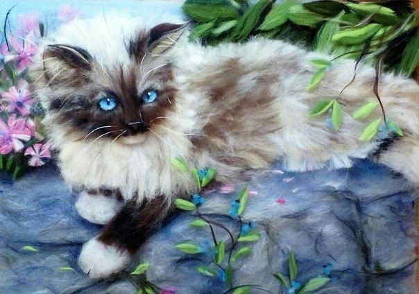 Прелестные картины с котиками из шерсти Прелестные картины с котиками из шерсти