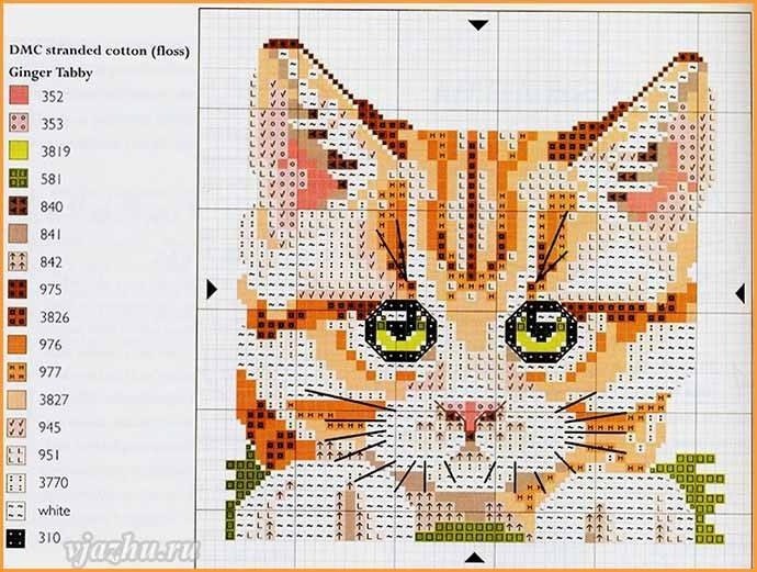 ​Кошки в карманах