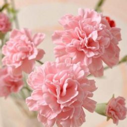 Лепим гвоздики из полимерной глины