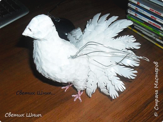 Любовь и голуби: пригласите счастье в дом