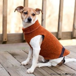 ​Переделка человеческой одежды в одежду для домашних любимчиков