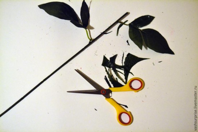 Флористика: роза