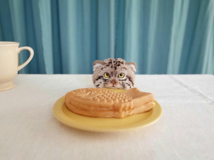 Удивительные помпоны