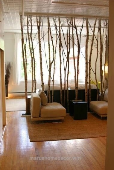 Идеи комнатных перегородок с помощью растений и деревьев
