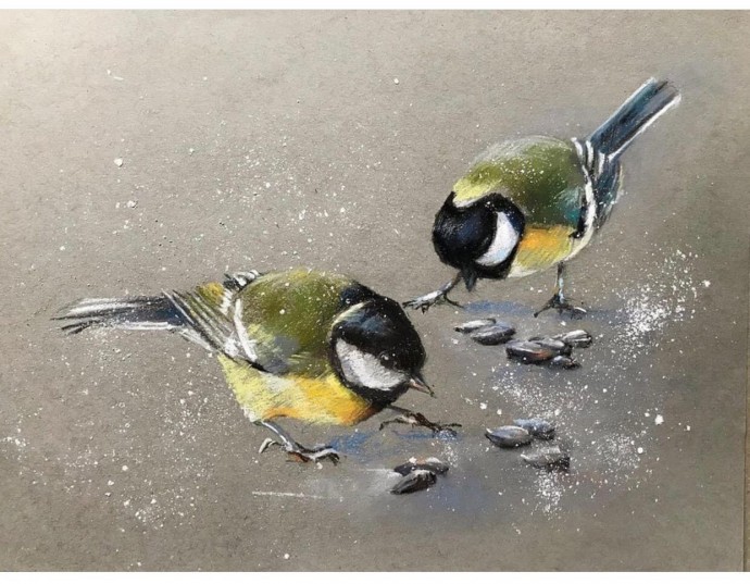 Урок рисования цветными карандашами: синички