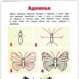 Простые уроки рисования: бабочки и их друзья