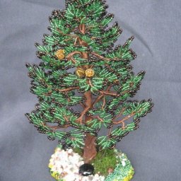 Сосна с золотыми шишками