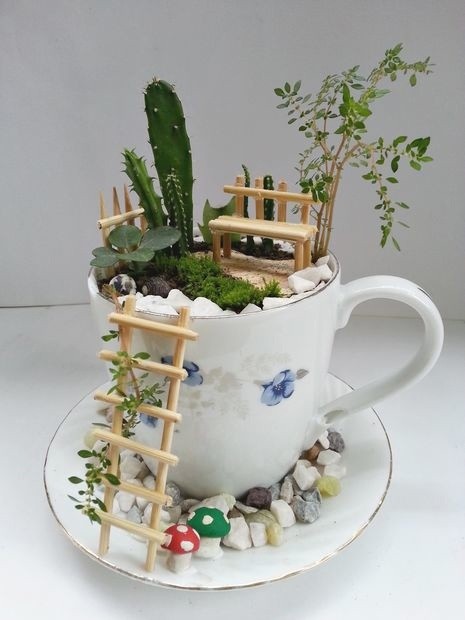 Маленький сад в чашке