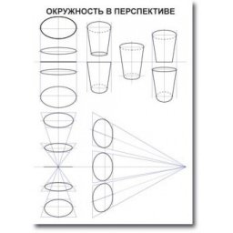 ​Как правильно нарисовать круг в перспективе